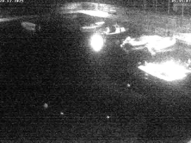 Kamera na żywo - Beli