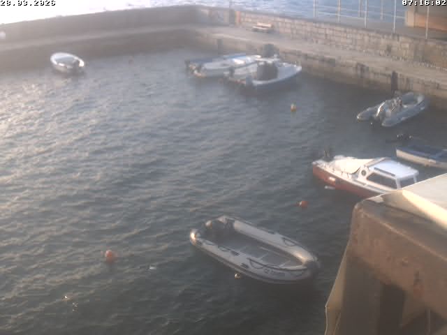 Kamera na żywo - Beli